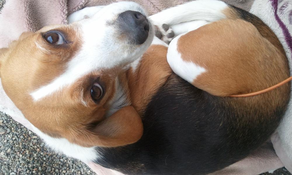 2012-02-05 11.28.01.jpg